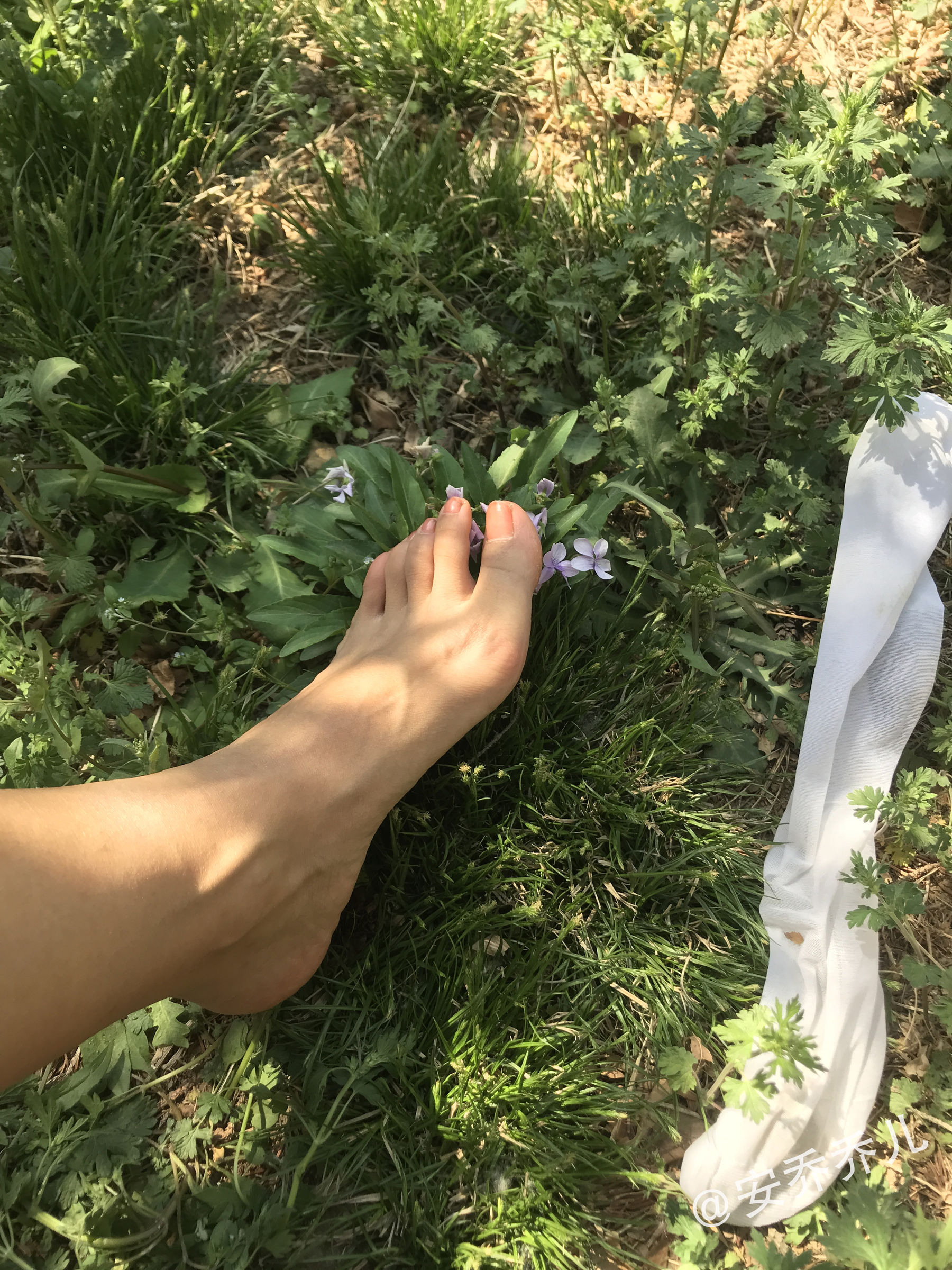 [福利COS] 安乔乔儿(Nia乔乔) No.018 夏天的风第36张