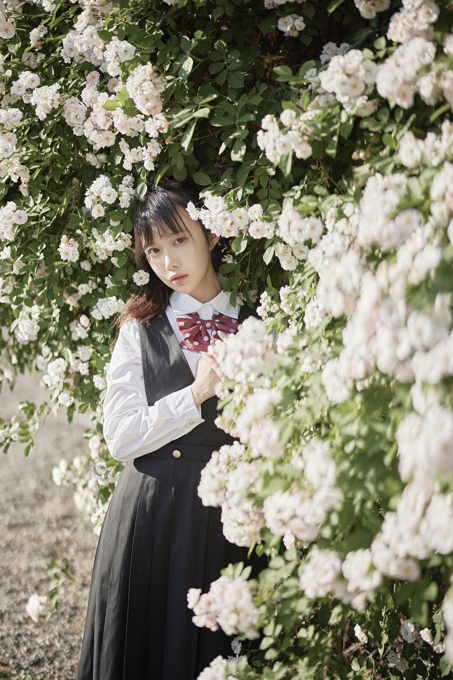 [福利COS] Shika小鹿鹿 - 蔷薇JK第1张