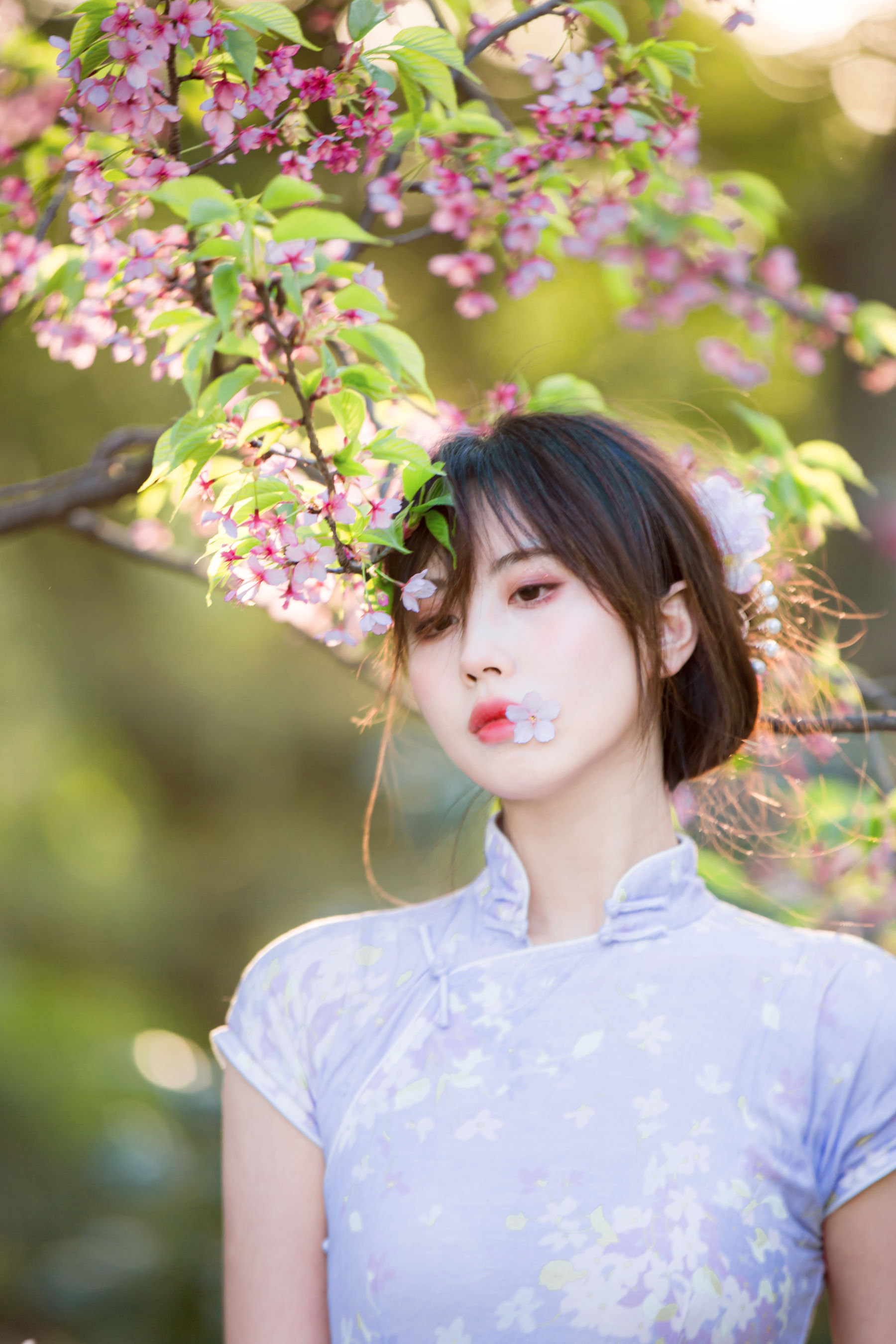 [福利COS] 次元少女念雪ww - 旗袍第6张