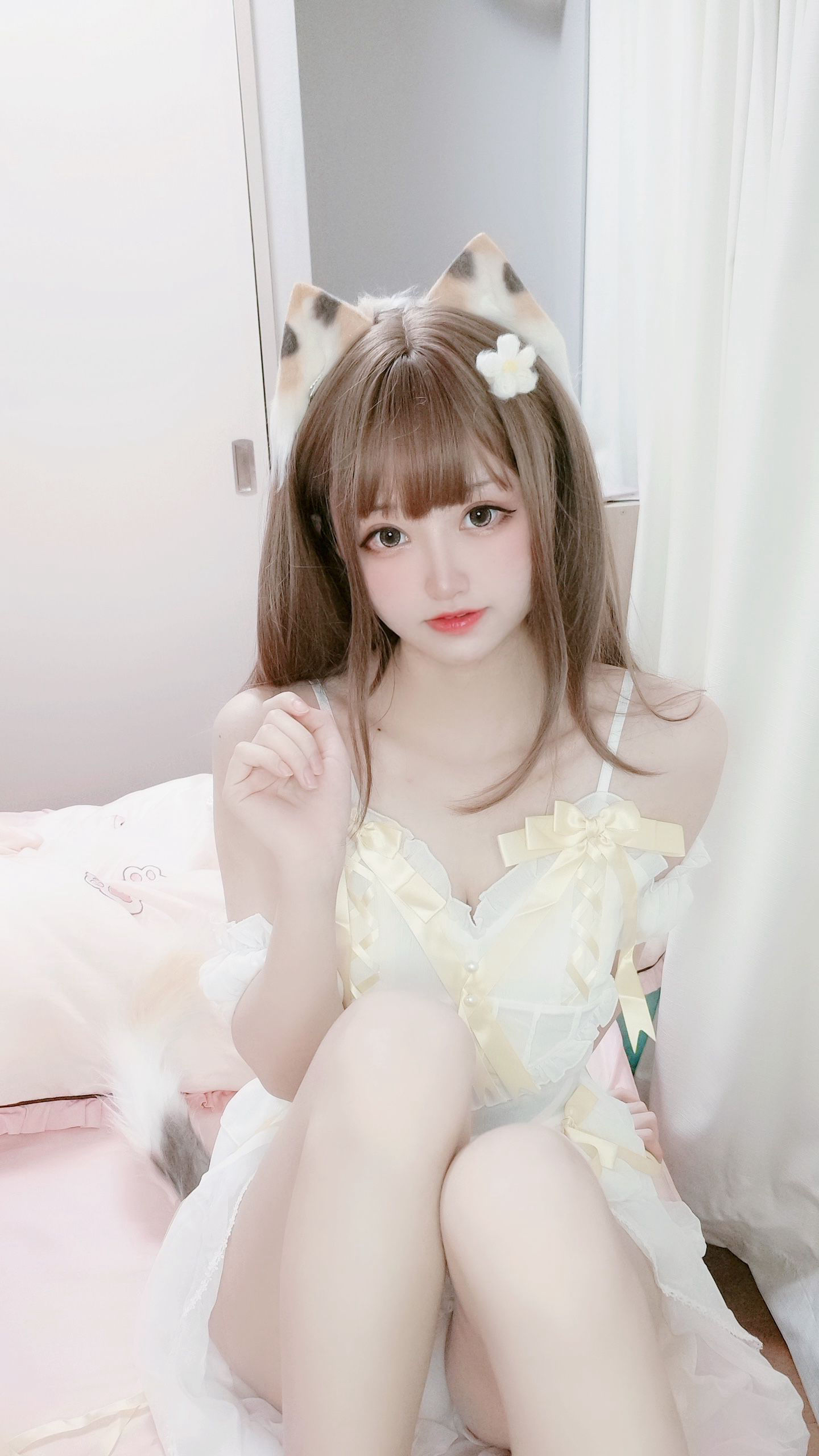 [福利COS] 千阳(ちよ) - 三花猫第1张