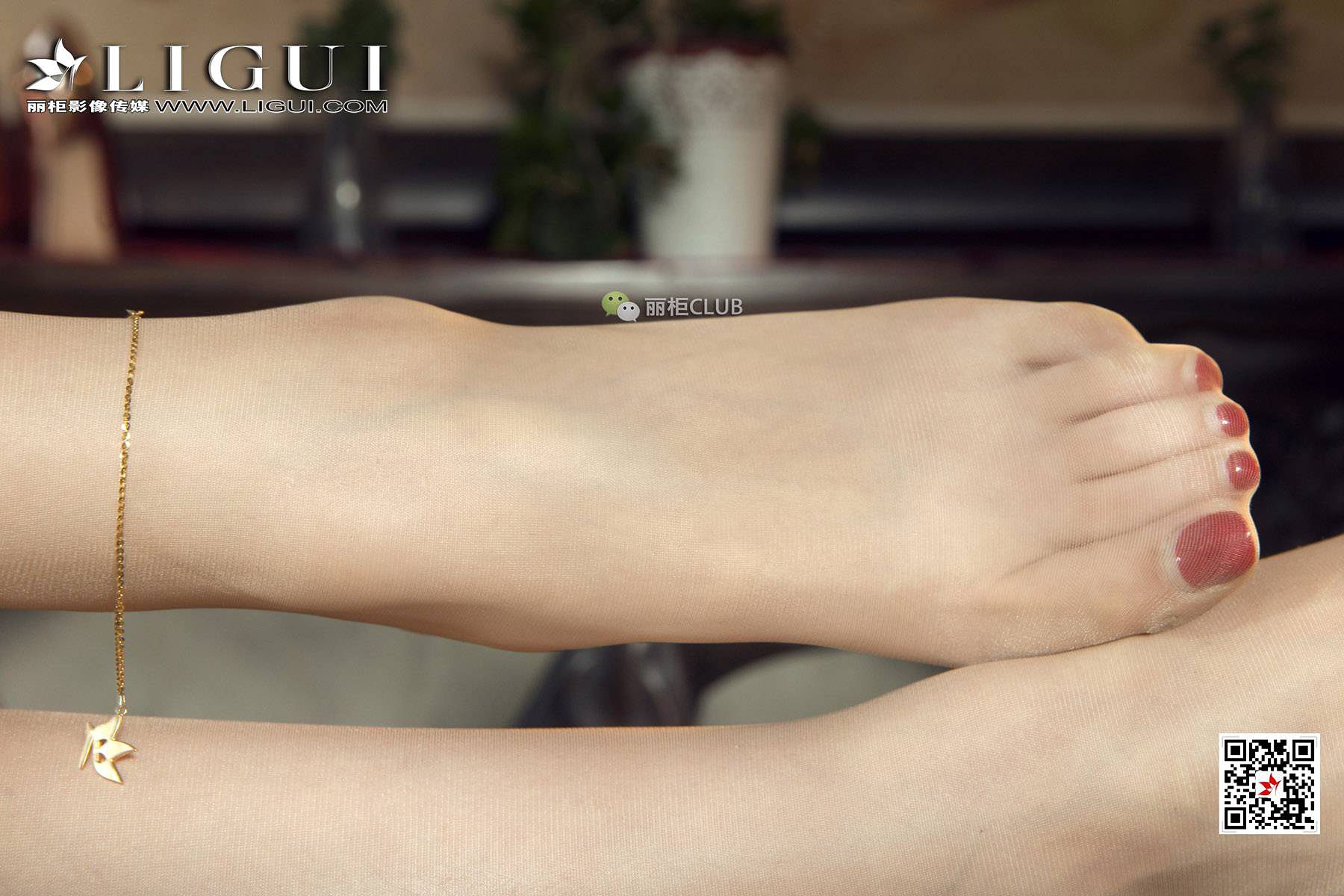 腿模小戈《优雅旗袍丝足》 [丽柜LIGUI] 美腿丝足第13张