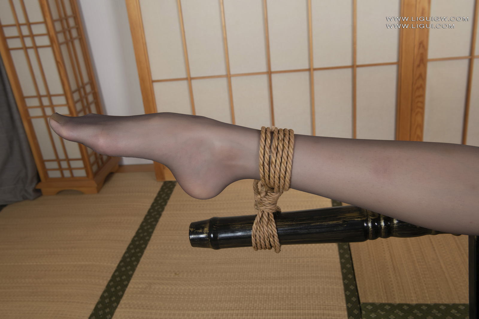 [Ligui丽柜] 2025.03.28 《长腿黑丝丽人的绝望挣扎》兔子第16张