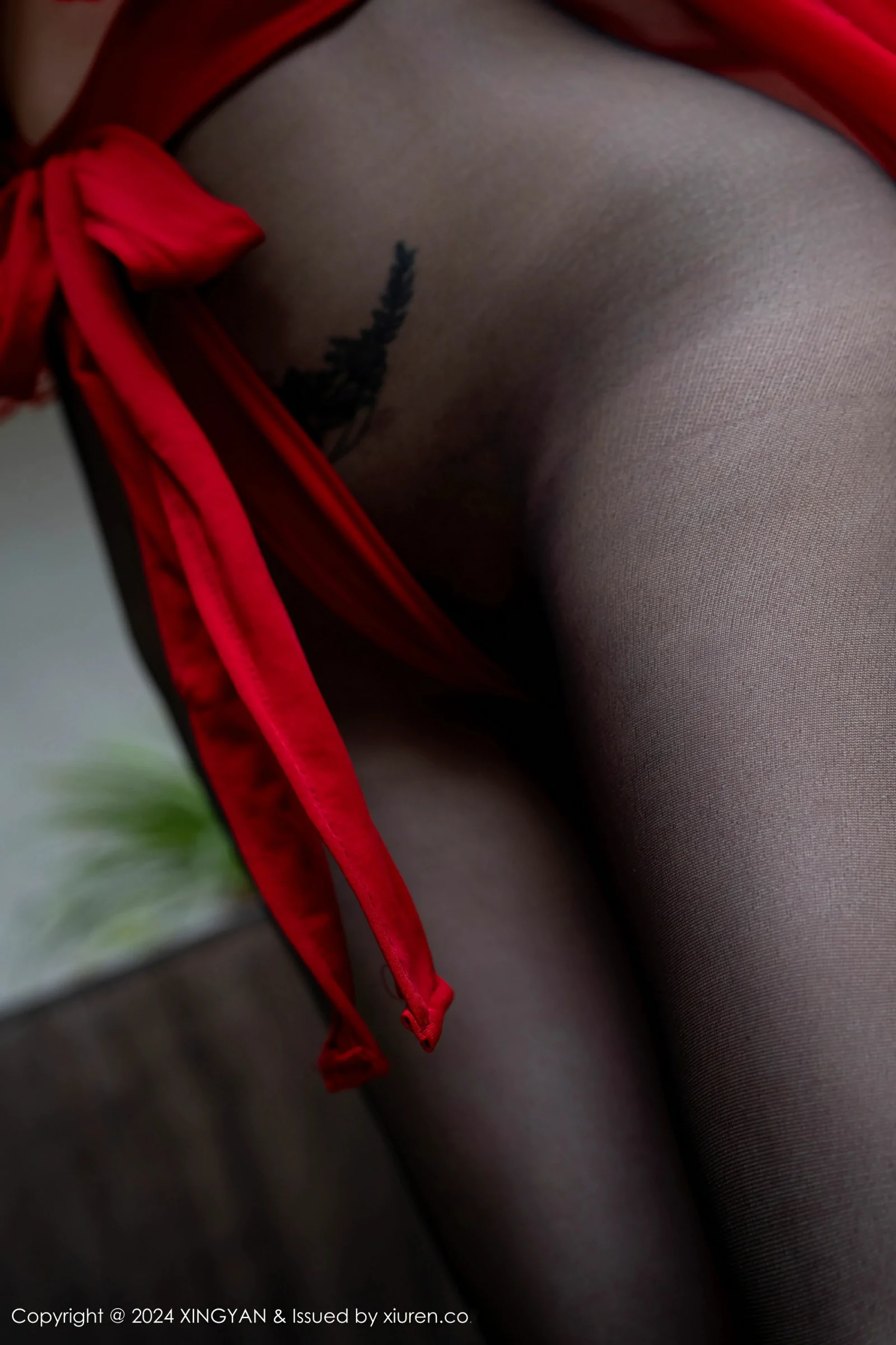  星颜社 VOL.245 潘思沁 [81P]第19张