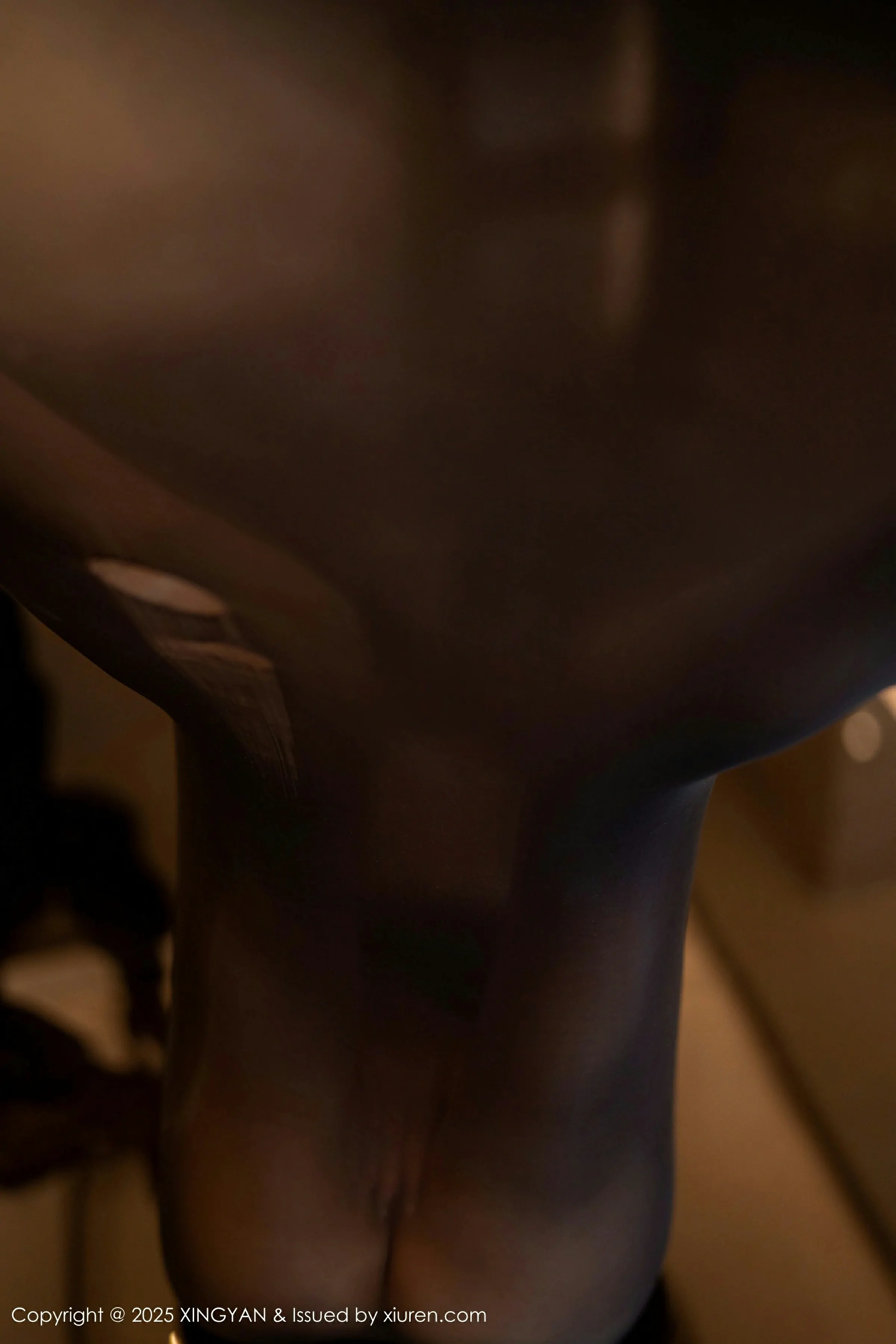  星颜社 VOL.309 潘思沁 [80P]第11张