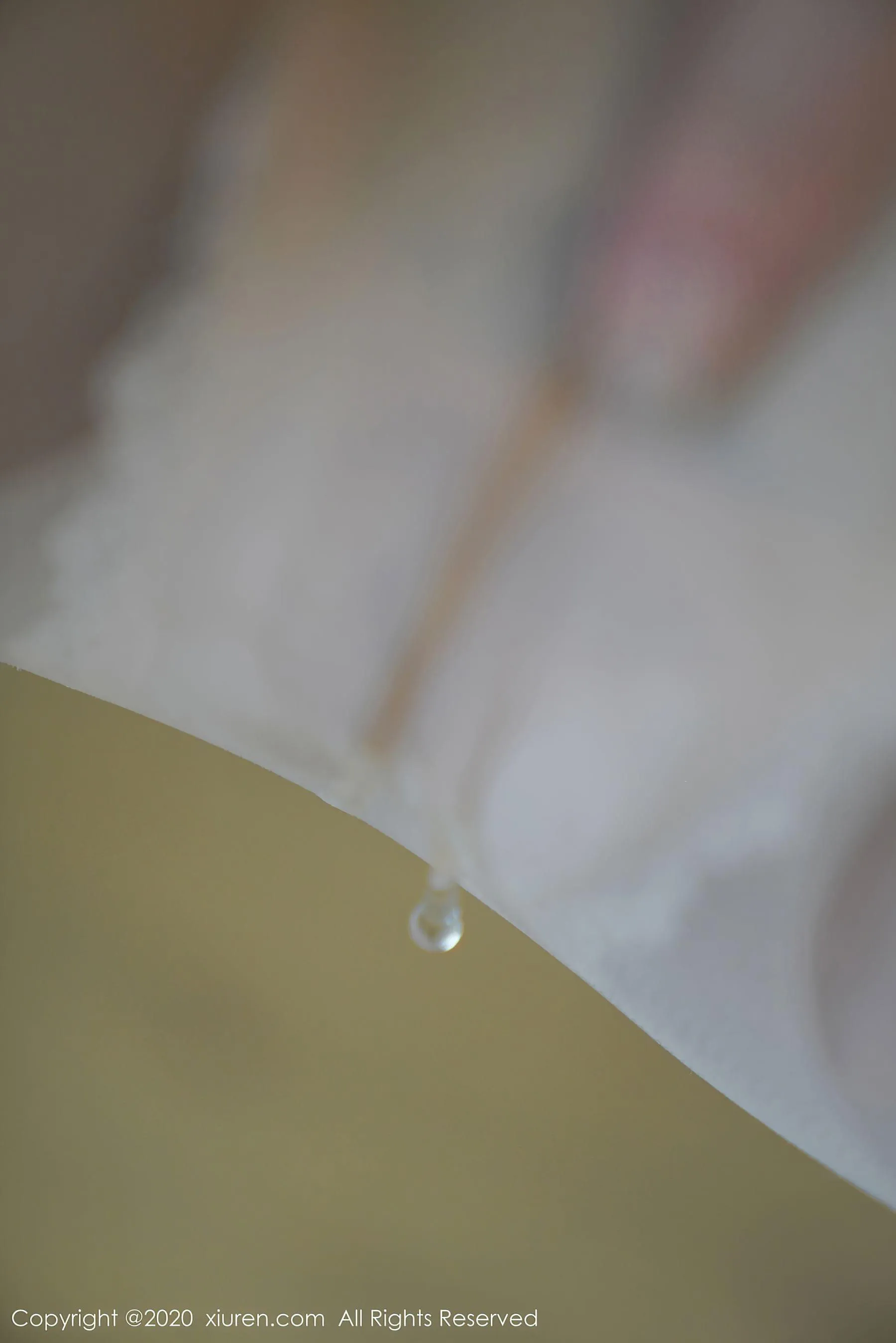  秀人 No.2506 沈梦瑶第14张