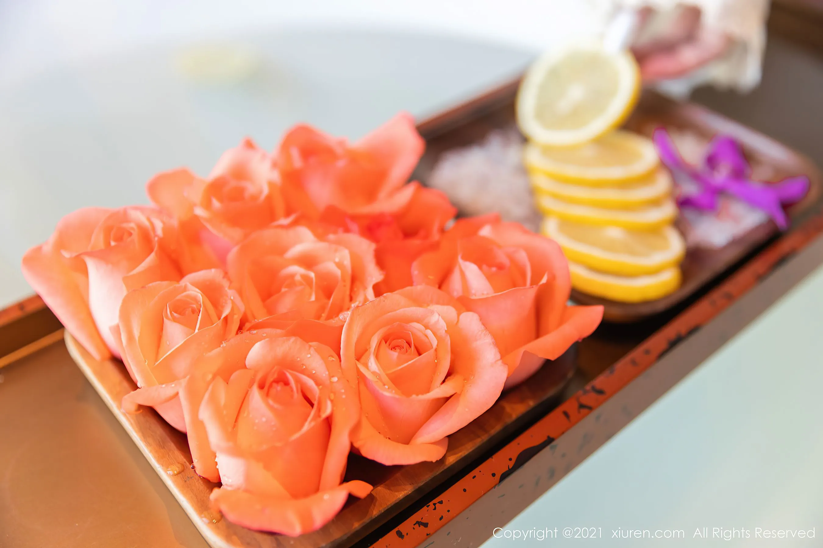 秀人 No.4020 允爾第17张