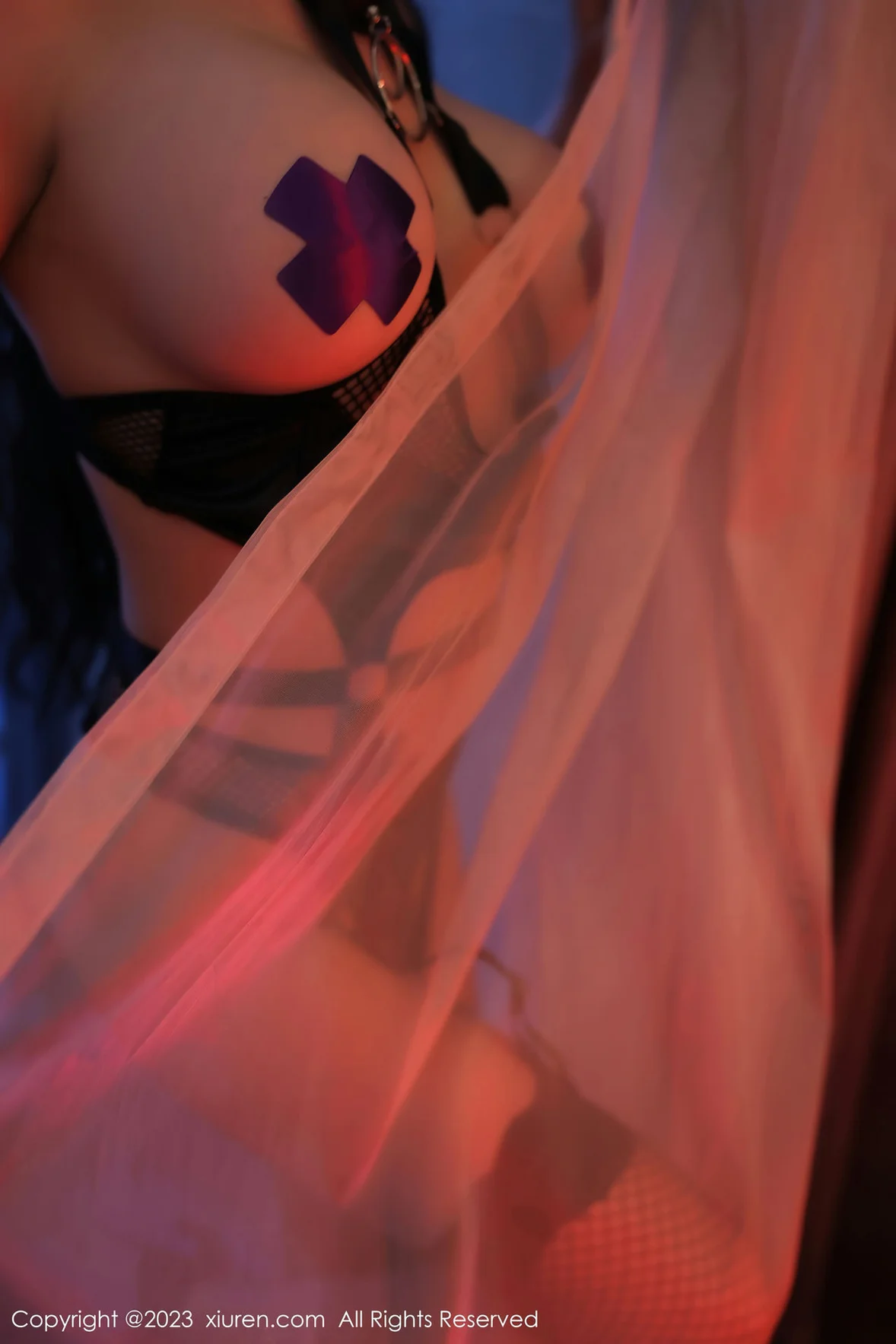  XiuRen 秀人 No.7207 田冰冰 黑色情趣服饰性感写真 [80P]第15张