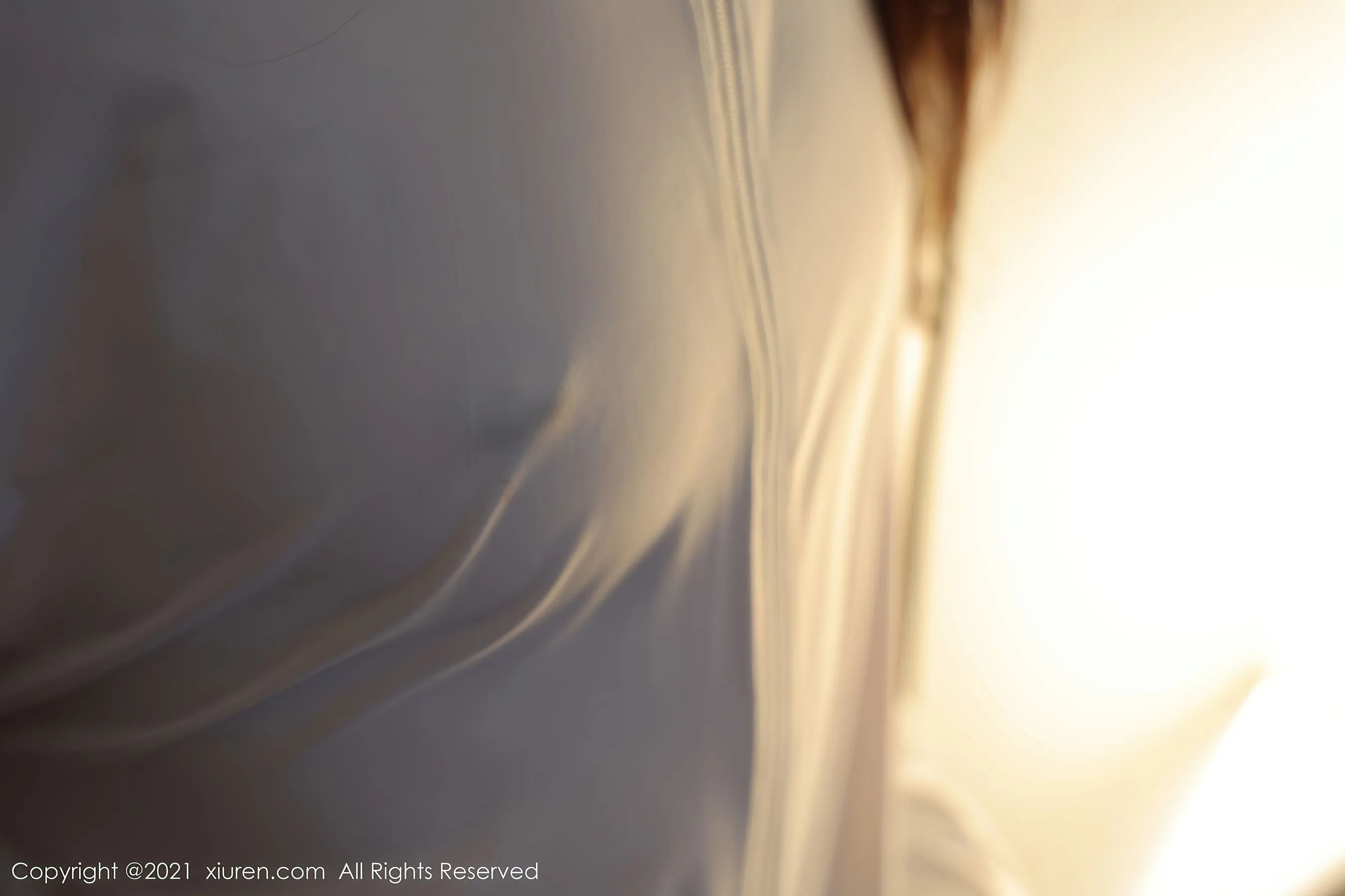 秀人 No.3956 蓝莓FY第24张