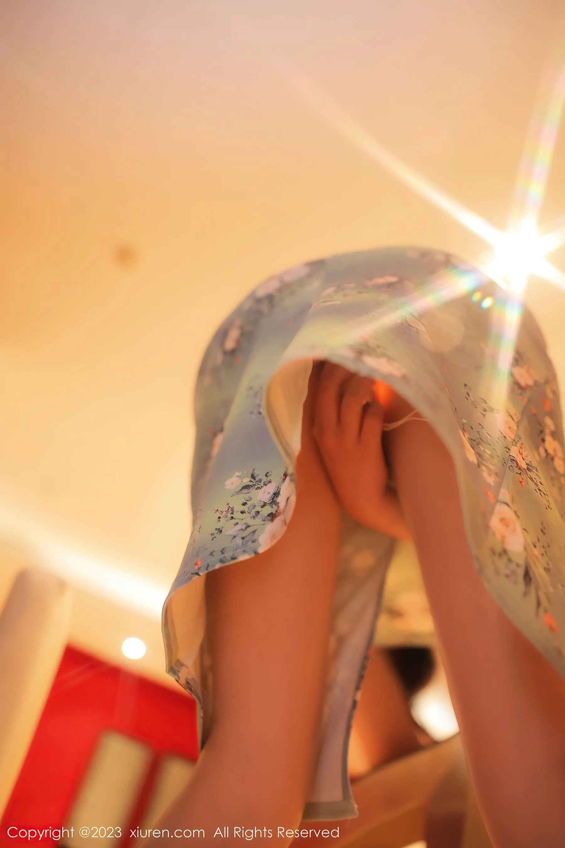  秀人网 No.6464 Arude薇薇 旗袍美腿第5张