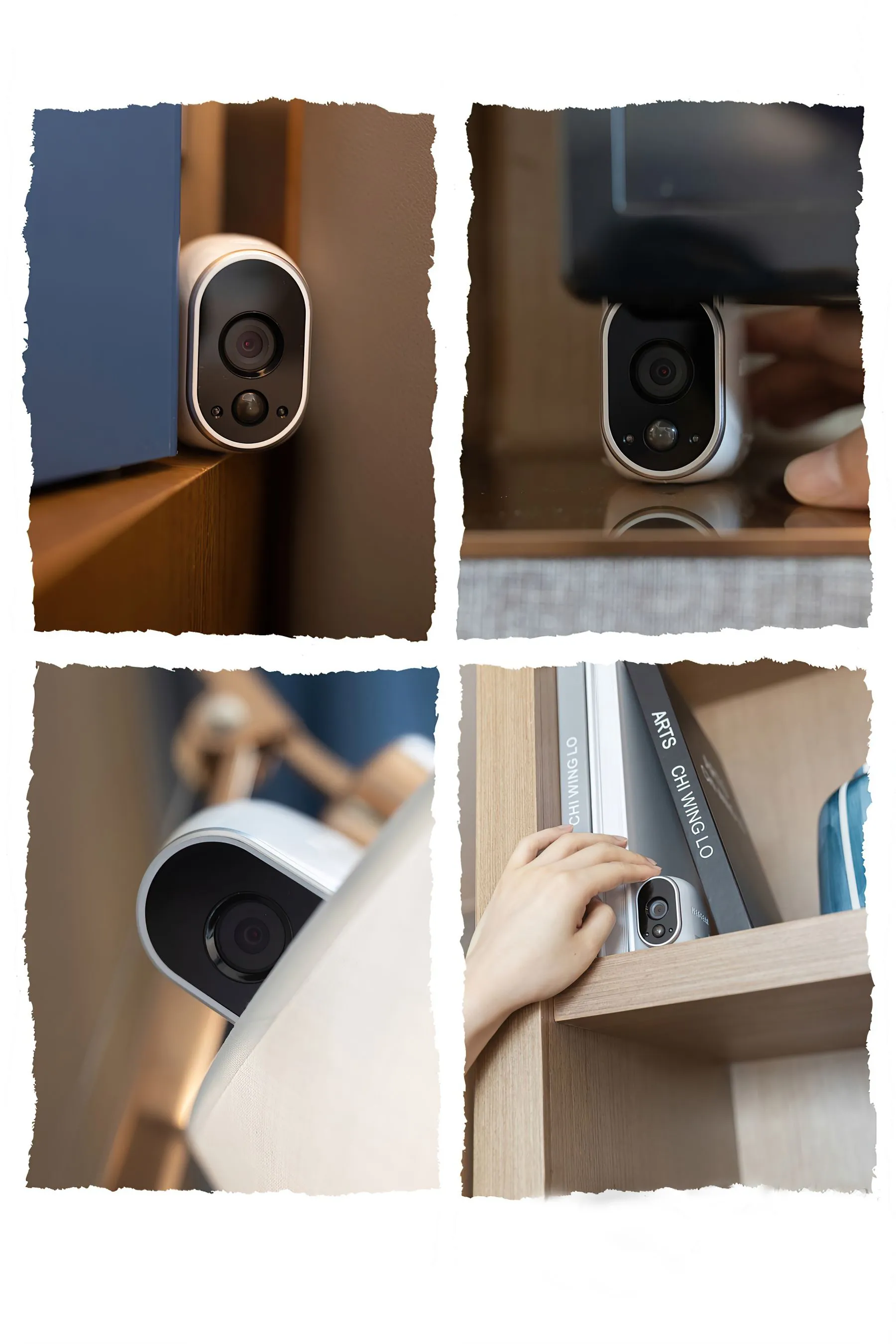  秀人 No.3678 鱼子酱Fish第15张