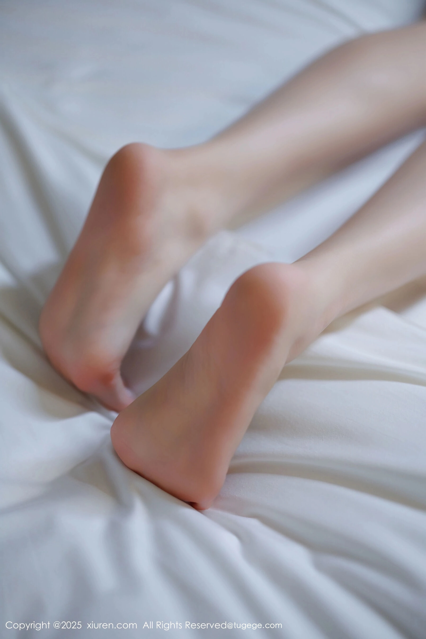  秀人网 杨晨晨 Vol.11035 [81P]第13张