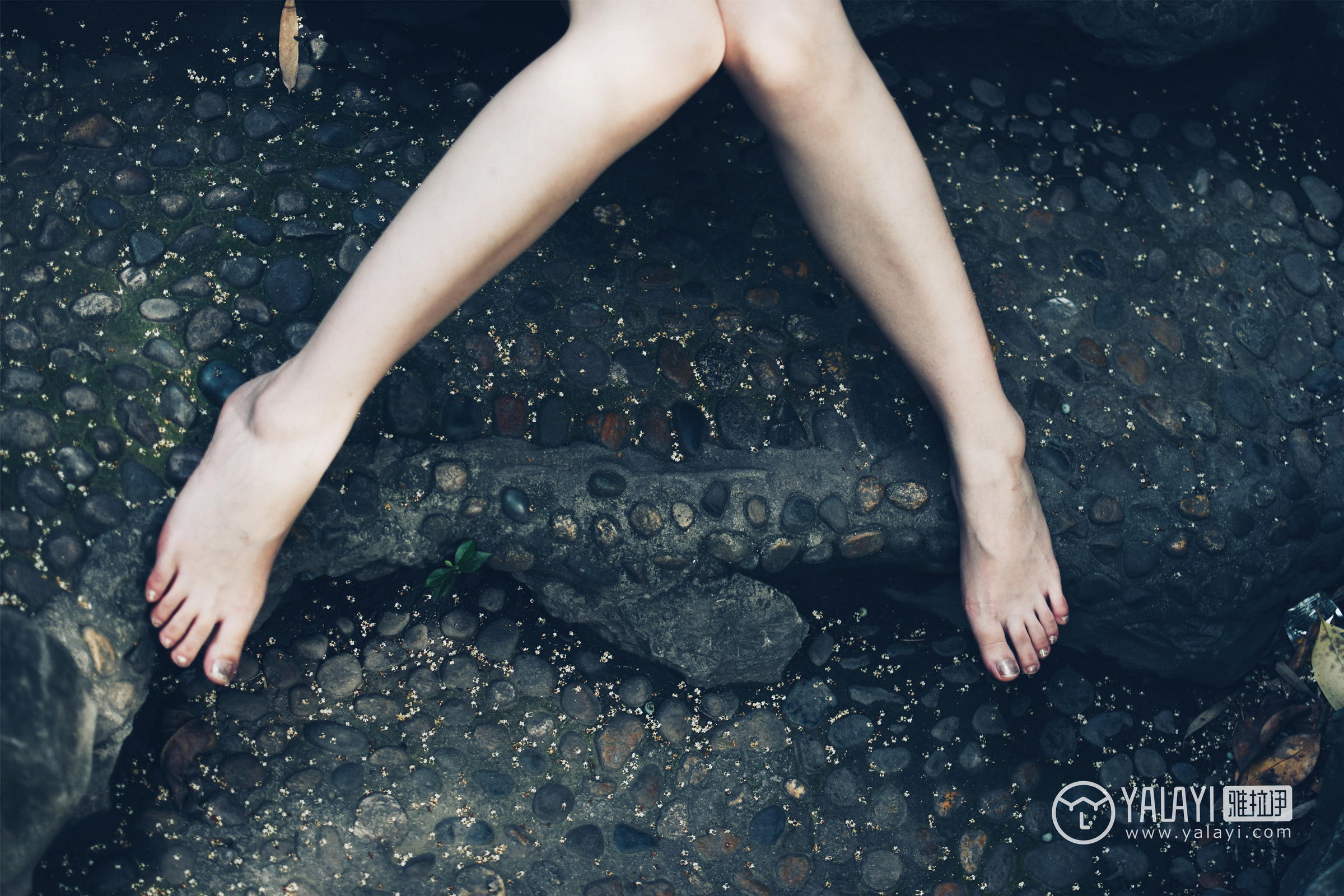 [YALAYI雅拉伊]NO.005 民国女孩叶肖肖 民国女生制服与白色短袖及黑色短裙加肉色丝袜美腿性感私房写真集第8张