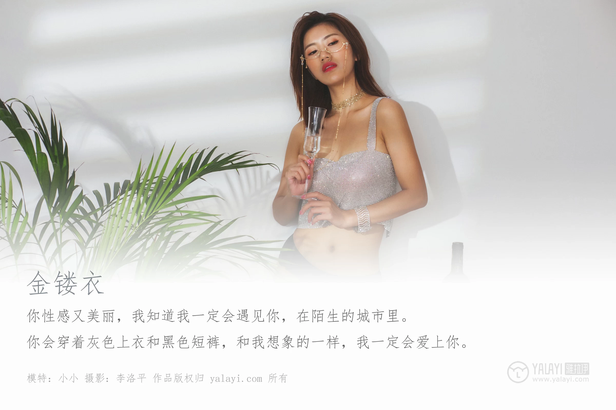 [YALAYI雅拉伊]Vol.420 金缕衣 小小 银色镂空内衣性感私房写真集第1张