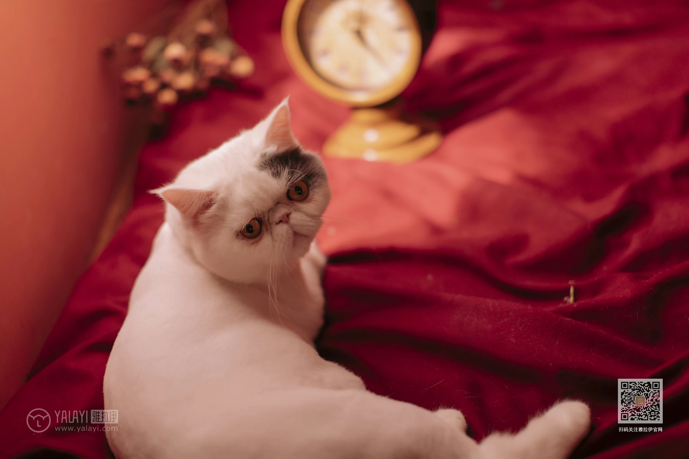 [YALAYI雅拉伊]Vol.460 红妆写真 佳佳 红色睡衣居家性感私房写真集第10张