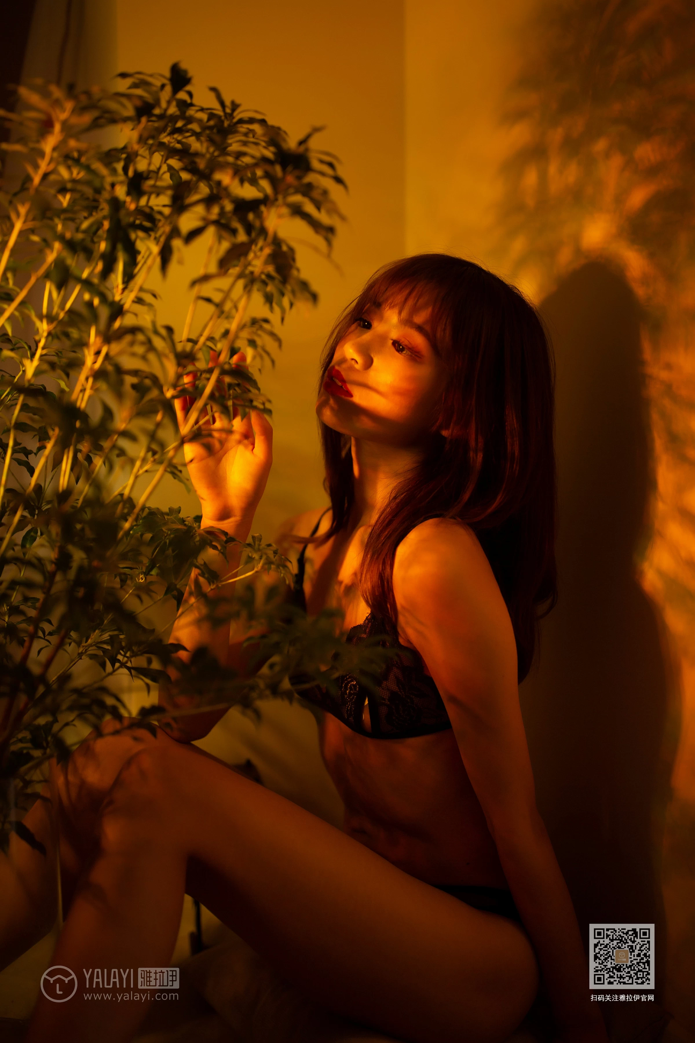 [YALAYI雅拉伊]Vol.512 未突破防线 丽雅 黑色透视蕾丝情趣内衣性感私房写真集第2张