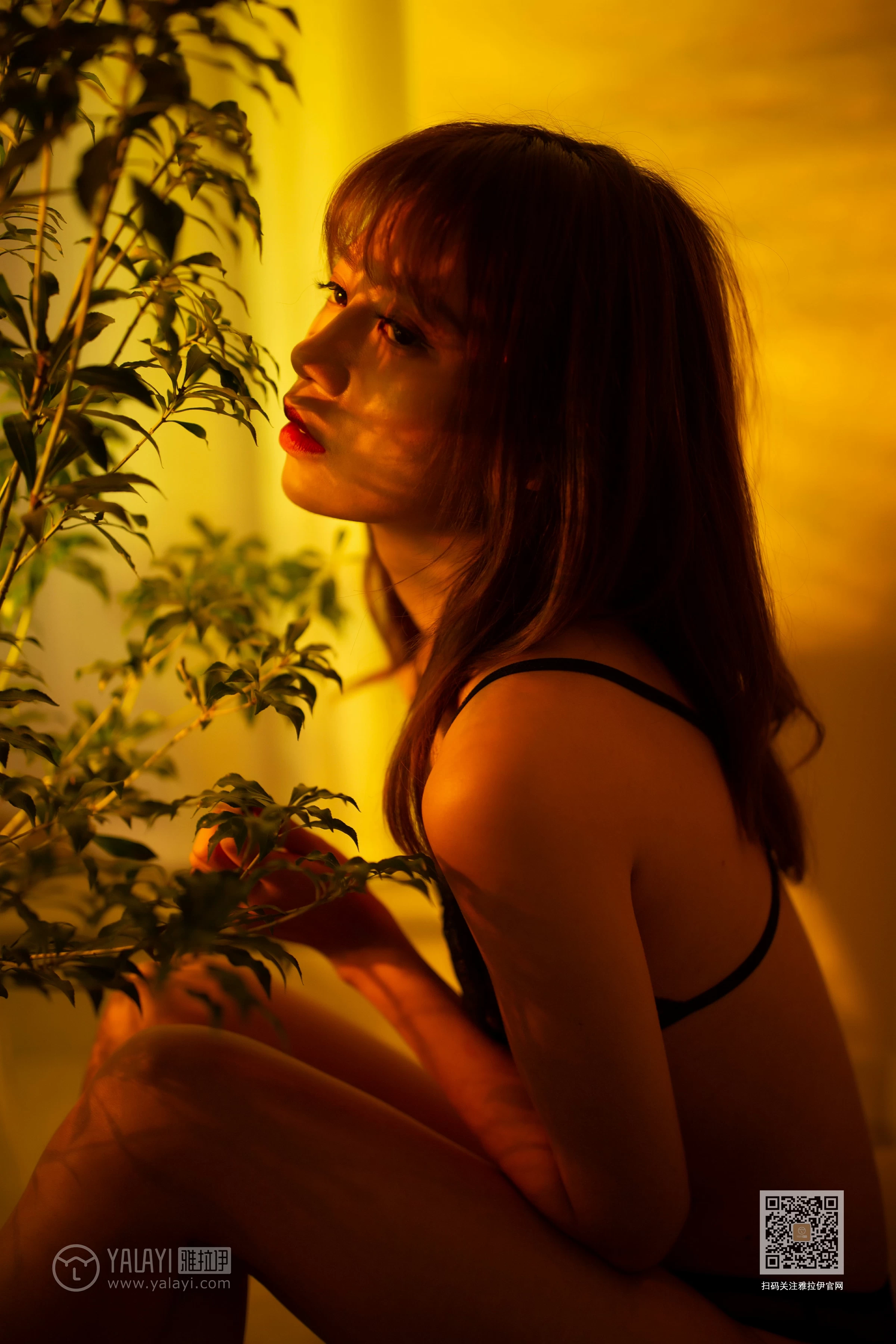 [YALAYI雅拉伊]Vol.512 未突破防线 丽雅 黑色透视蕾丝情趣内衣性感私房写真集第4张