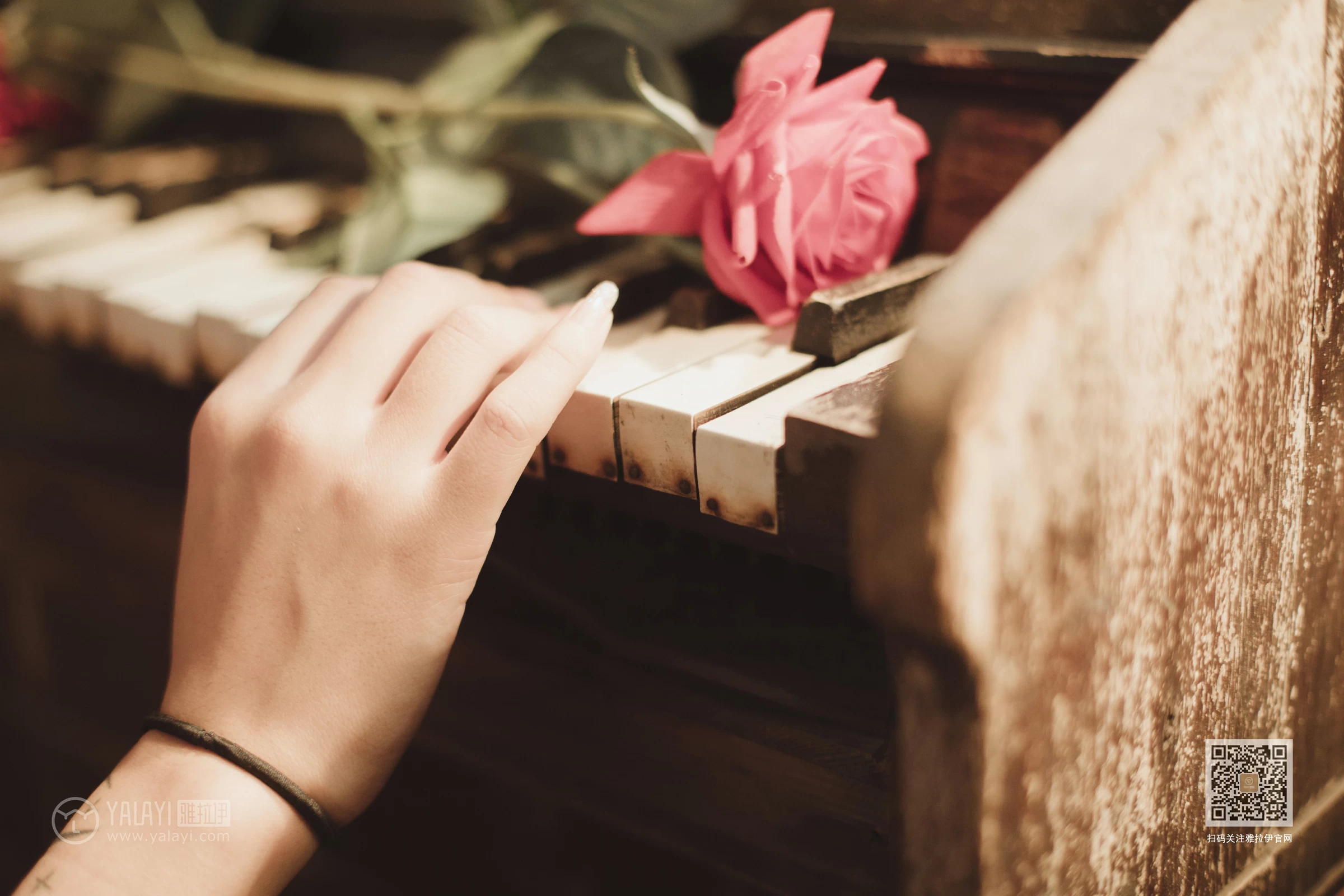 [YALAYI雅拉伊]Vol.519 绿里蔷薇 刘子扬 黑色透视情趣内衣性感私房写真集第7张