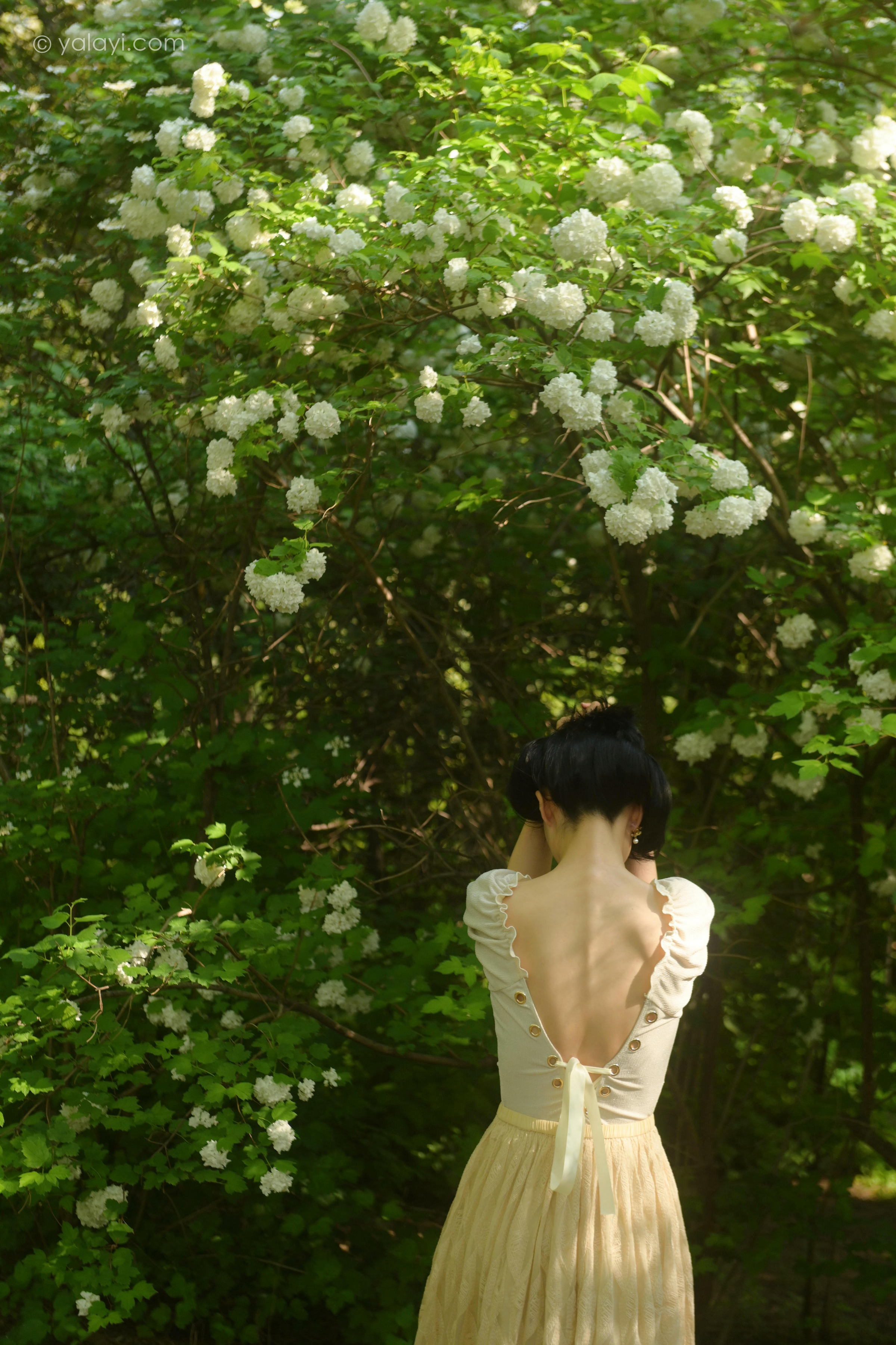 [YALAYI雅拉伊]2022.06.15 气息 佳佳 白色裸背短袖加黄色长裙清纯写真集第5张