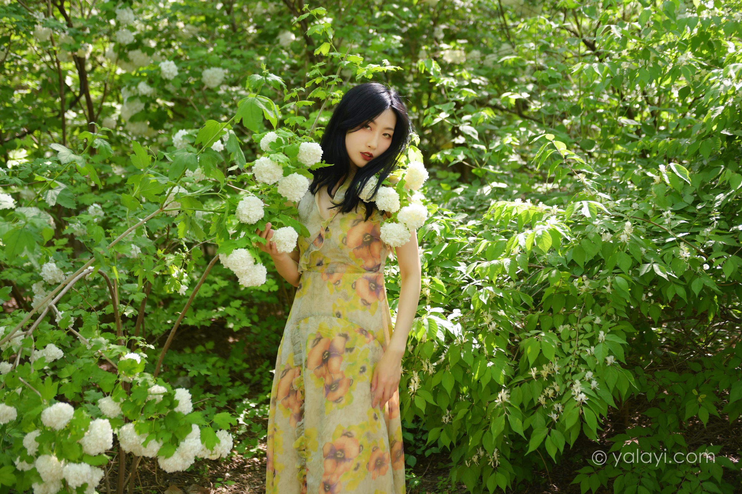 [YALAYI雅拉伊]2022.06.15 气息 佳佳 白色裸背短袖加黄色长裙清纯写真集第2张