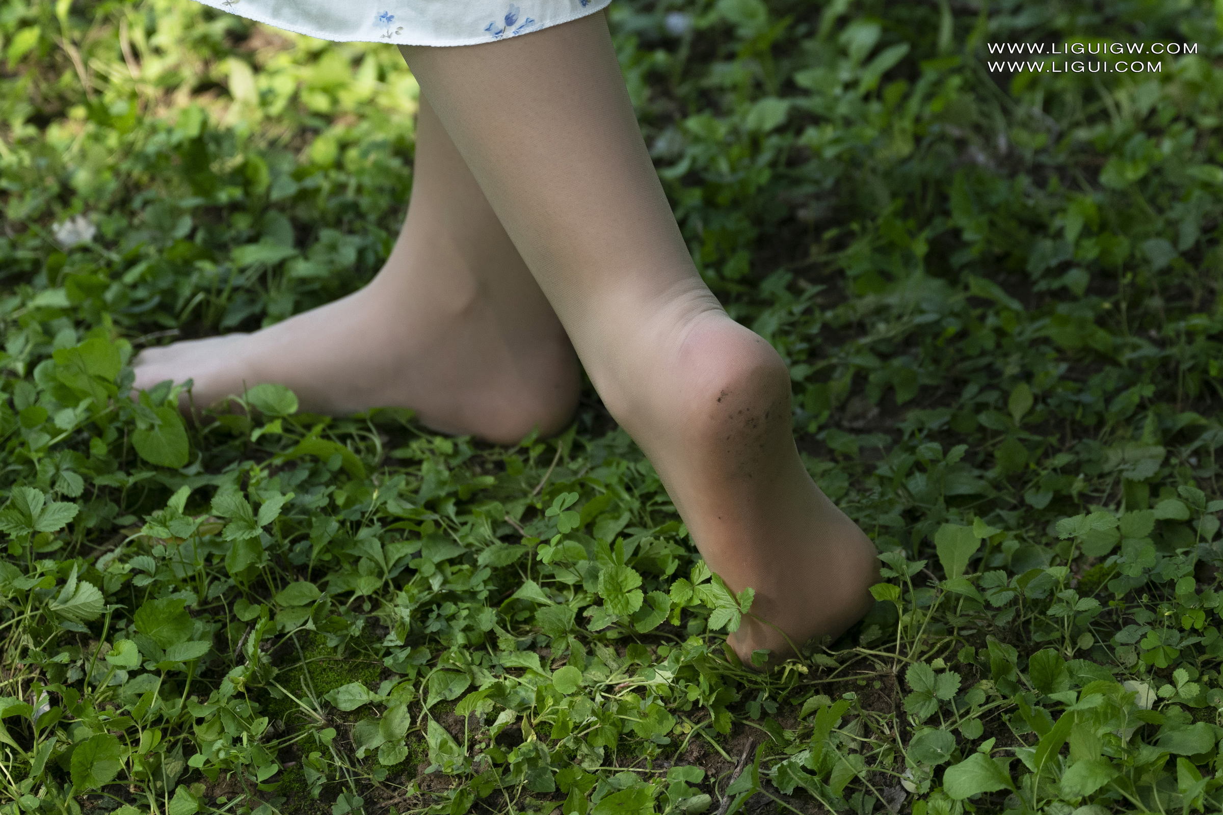 [Ligui丽柜] 2025.11.14 白纱透肤林中漫游 昆昆第11张